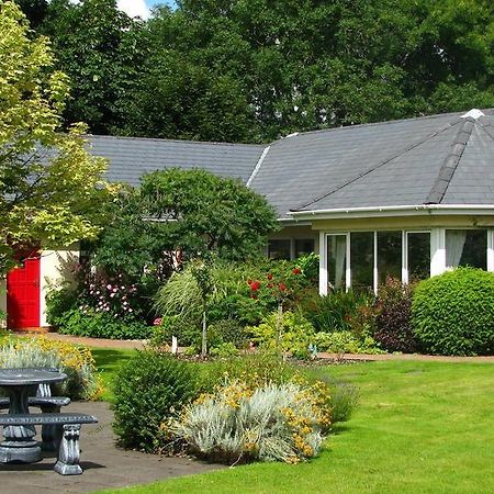 Applecroft House Bed and Breakfast Killarney Eksteriør billede