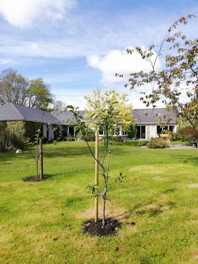 Applecroft House Bed and Breakfast Killarney Eksteriør billede