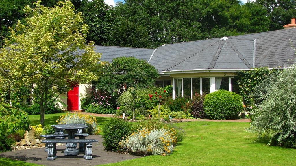 Applecroft House Bed and Breakfast Killarney Eksteriør billede