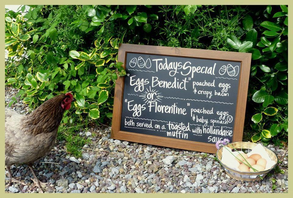 Applecroft House Bed and Breakfast Killarney Eksteriør billede