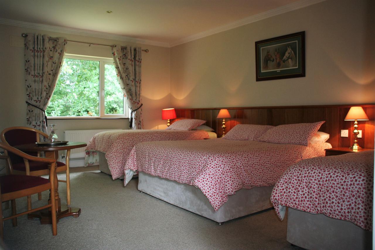 Applecroft House Bed and Breakfast Killarney Eksteriør billede